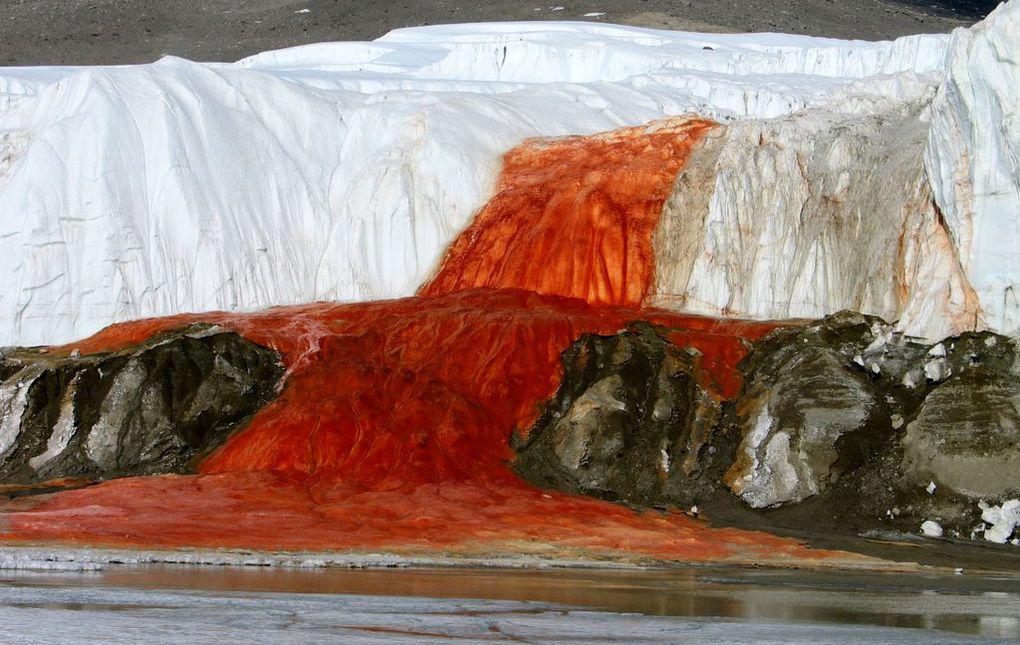 Bí ẩn dòng nước có màu đỏ rực như máu ở Nam Cực - 8