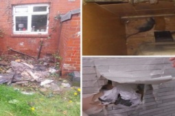 Phi thường - kỳ quặc - Cả gia đình phải ra khách sạn sống vì bị loài vật này "chiếm nhà"