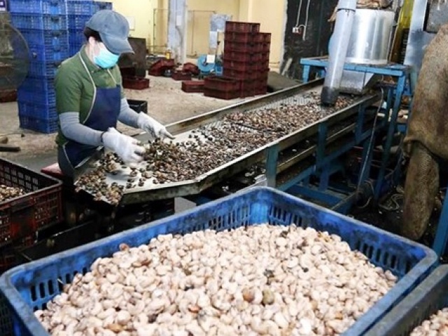 Kinh doanh - Doanh nghiệp xuất khẩu cần làm gì để tránh bẫy lừa đảo?