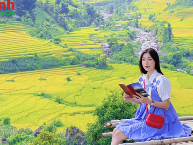 Du lịch - Chiêm ngưỡng "mùa vàng rực rỡ" ở Nậm Cang Sa Pa