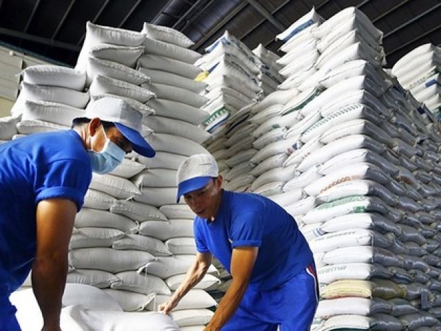 Vét sạch kho gạo không đủ xuất khẩu, dự báo lập kỷ lục 4 tỷ USD