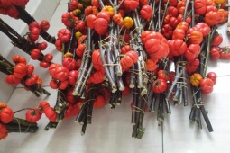 Thị trường - Tiêu dùng - Rộ mốt cắm cành quả nhập từ Trung Quốc, dân buôn nhập về không đủ bán