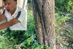 Pháp luật - Gã xe ôm trói khách vào gốc cây để giở trò đồi bại