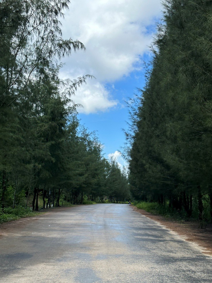 Ghé thăm ‘nàng thơ’ của Quảng Ninh - 13