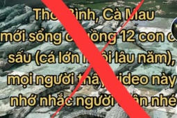 Tin tức trong ngày - Sự thật vụ 12 con cá sấu sổng chuồng ở Cà Mau