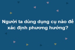 Giáo dục - du học - Có cả biển tri thức mới trả lời hết bộ câu hỏi này