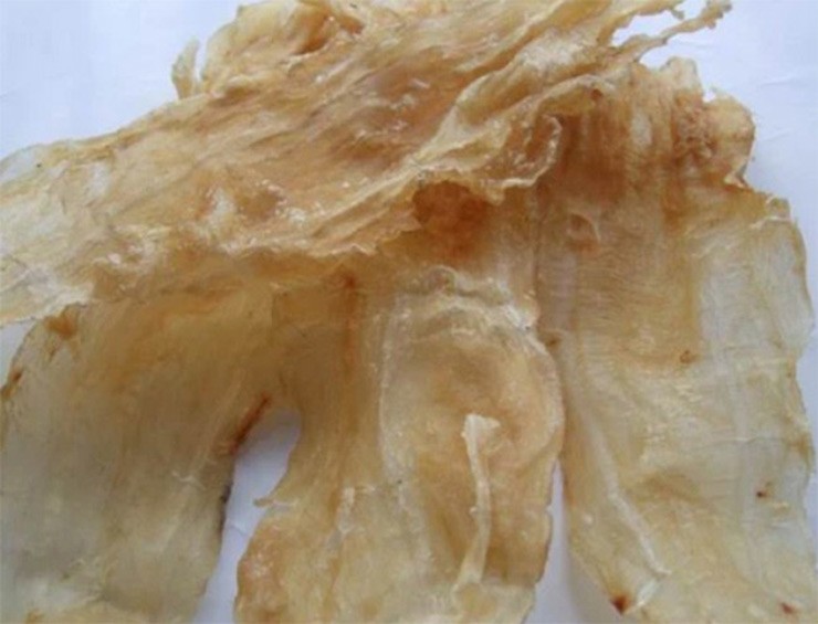 Thứ đắt đỏ nhất tạo nên giá trị tiền tỷ của con cá sủ vàng là bong bóng cá. Bởi bóng cá sủ vàng phơi khô được cho là có giá trị dinh dưỡng ngang với nhân sâm.&nbsp;