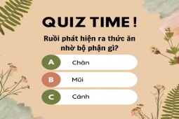 Giáo dục - du học - Thử sức chinh phục 15 câu hỏi từ dễ tới khó