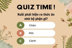Thử sức chinh phục 15 câu hỏi từ dễ tới khó