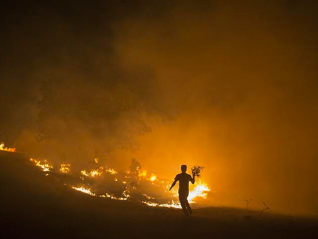Cháy rừng làm nổ mìn gài quanh nhà tù Iran