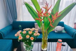 Kinh doanh - Liều mua nhà với 30 triệu đồng tiết kiệm, vợ chồng trẻ trả hết nợ sau 5 năm