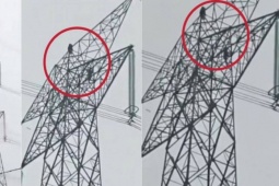 Phi thường - kỳ quặc - Giận dỗi người yêu, cô gái leo lên cột điện cao thế để làm điều dại dột