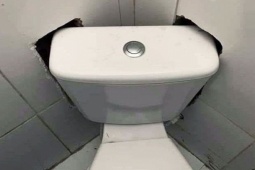 Tranh vui - Sửa nhà xong lại muốn... trầm cảm