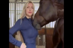 Clip hài hước - Khi động vật tăng động khiến con người "khóc thét"