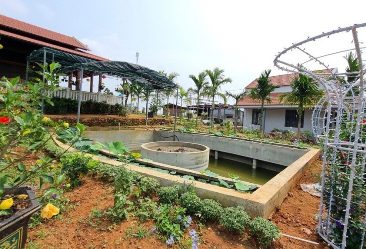 Trang trại của ông Lê Văn Ninh. Ảnh: TN