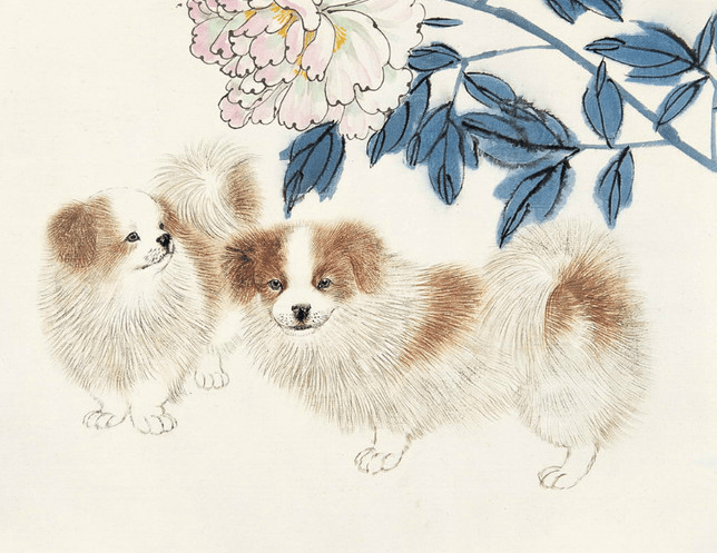 3 con giáp tưởng ngốc nghếch nhưng trí tuệ, sáng suốt vượt xa người thường - 2