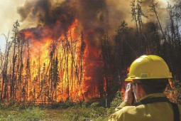 Người dân Canada dùng tính năng này của iPhone 14 để đối phó cháy rừng