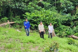 Pháp luật - Phát hiện nhóm người có súng trồng cần sa cạnh Trại giam Z30D