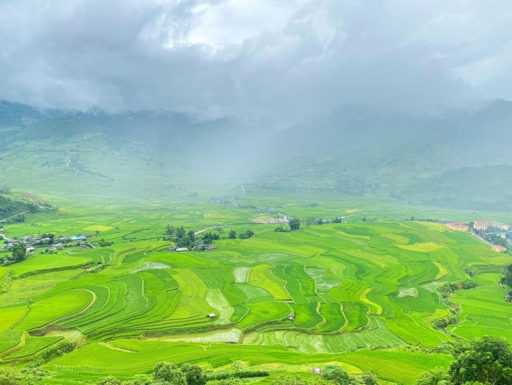 Ruộng bậc thang tuyệt đẹp.