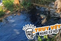 Tin tức trong ngày - Clip: Sự thật ớn lạnh về dòng nước đen ngòm từ nhà máy nước xả xuống hồ nước