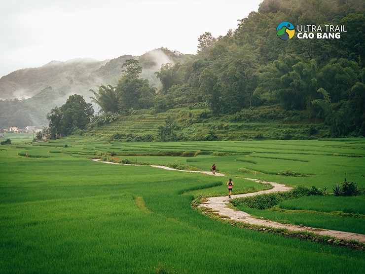 Cung đường chạy được ví von là đẹp nhất Việt Nam của&nbsp;Ultra Trail Cao Bằng&nbsp;