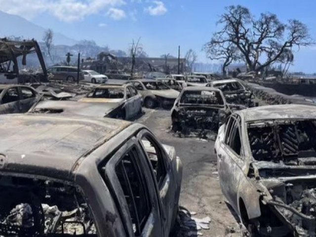Cháy rừng như 'tận thế' ở Hawaii: Vì sao lan quá nhanh, quá nhiều người chết?