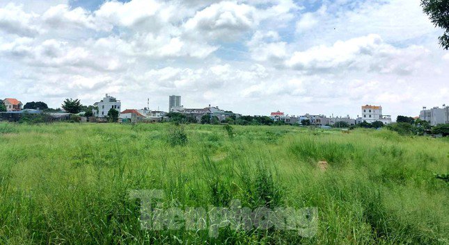 Bên trong dự án cỏ hoang mọc đầy