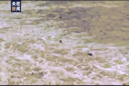 Thế giới - Trung Quốc: 11 du khách bị nước cuốn trôi khi chụp ảnh ở đập nước nổi tiếng