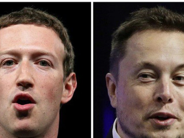 Ông Musk nói đã hỏi mượn thủ tướng Ý địa điểm 'so găng' với ông Zuckerberg