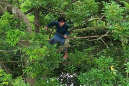 Thị trường - Tiêu dùng - Trồng loại quả từng mọc hoang, giờ quý như “vàng đen”, cả làng "đổi đời"