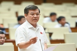 Tin tức trong ngày - Viện trưởng Lê Minh Trí lần thứ 10 trả lời về "kỳ án gỗ trắc ở Quảng Trị"