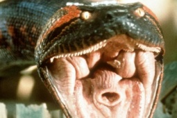 Media - Điều đáng sợ về loài bò sát khủng ở Nam Mỹ, không ít lần lên phim