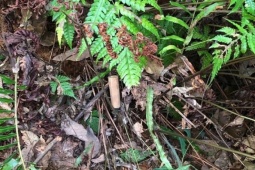 Pháp luật - Vị khách phương xa và hành trình "lật tìm" kẻ giết người (P1): Xác chết trên đồi vắng