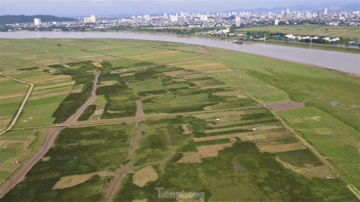 Nằm gọn giữa dòng sông Lam - Thôn Hồng Lam (xã Xuân Giang, Nghi Xuân, Hà Tĩnh ) bốn bề bao quanh là nước. Người dân vùng "ốc đảo" này bao năm sinh sống dựa vào hai loại cây trồng chính là cây lạc và cói.