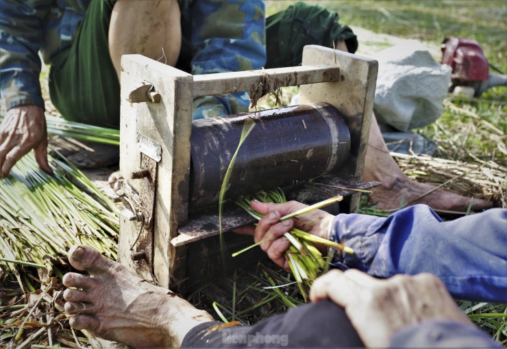 Máy chẻ cói có cấu tạo là 2 khối gỗ hình tròn (thường được làm bằng gỗ Lim) và lưỡi dao ở giữa. Cây cói khi chẻ phải thẳng để không bị mất gốc hay ngọn.