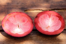 Thị trường - Tiêu dùng - Loại quả từ xanh đến chín đều "hot" một thời, nay phần vỏ cũng bán giá gần 100.000 đồng/kg