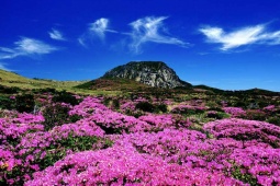 Du lịch - 7 địa điểm thăm quan tuyệt đẹp tại Jeju nằm trong danh sách yêu thích của Jungkook (BTS)