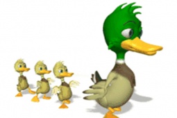 Tin vịt - Tin tức cười cập nhật từ các “camera chạy bằng cơm” (tin vịt 24h hôm nay)