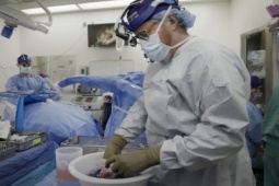 Thế giới - Điều xảy ra khi cấy ghép thận lợn biến đổi gen vào cơ thể người đàn ông chết não