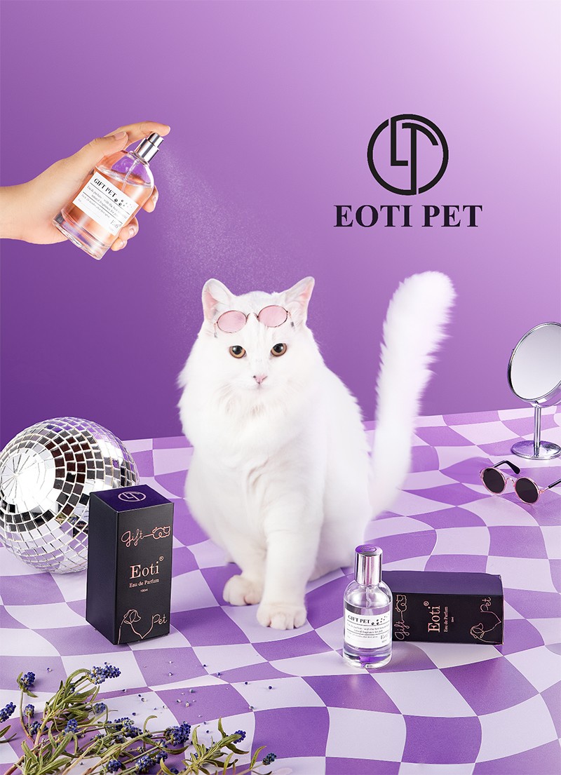 Nuôi thú cưng – Xu thế mới của xã hội hiện đại - 1