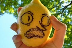 Đang vắt cam thì đừng mải đọc tin tức cười kẻo mà nát hết bây giờ (tin vịt)