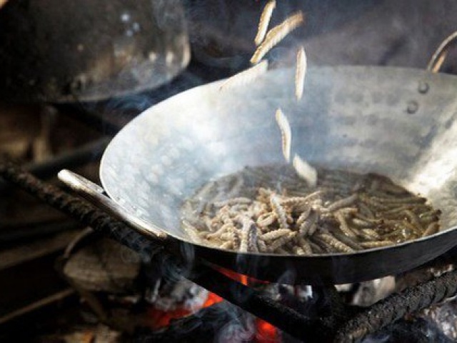 Ẩm thực - Món ăn gây sốc với nhiều người lại là đặc sản quý vùng Tây Bắc, có tiền cũng không dễ mua