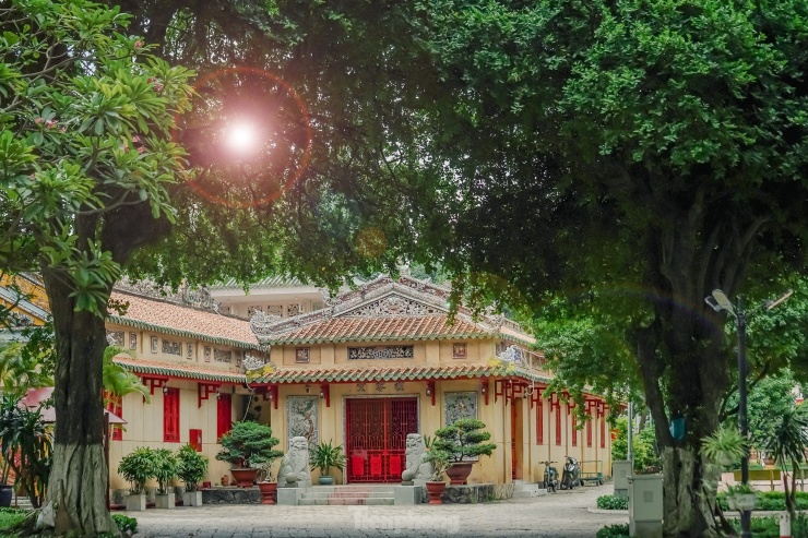 Nơi đây có nhiều đại thụ, toả bóng mát quanh năm.