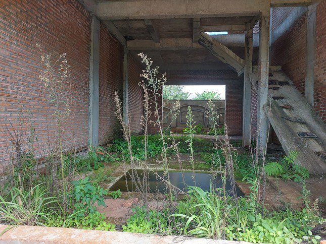 Vào bên trong những căn nhà thô nhìn đầy cỏ dại.