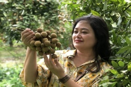 Thị trường - Tiêu dùng - Đã mắt ngắm vườn nhãn “VIP” tại thủ phủ nhãn lớn nhất miền Bắc