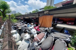 Tin tức trong ngày - SH, Air Blade, Lead "vô chủ" chất đống, chỉ 500.000 đồng/xe