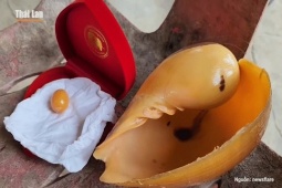 Phi thường - kỳ quặc - VIDEO: Ăn ốc, người phụ nữ vô tình phát hiện ngọc quý