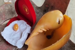 Phi thường - kỳ quặc - VIDEO: Ăn ốc, người phụ nữ vô tình phát hiện ngọc quý