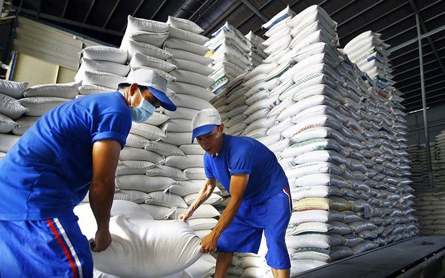 Giá gạo Việt Nam quay trở lại vị trí cao nhất thế giới.