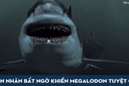 Phi thường - kỳ quặc - Video: Lý giải nguyên nhân loài cá mập Megalodon khổng lồ tuyệt chủng